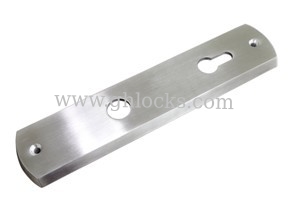 China Stainless Steel Cover for Handle Locks supplier