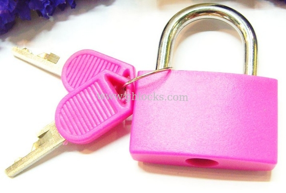 30MM Mini Plastic Lock supplier